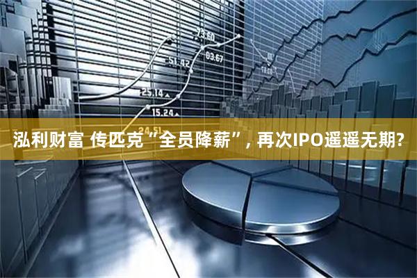 泓利財富 傳匹克“全員降薪”, 再次IPO遙遙無期?